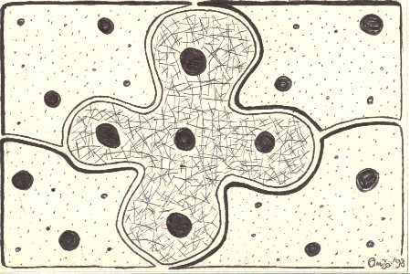 quando la cartolina fa rima con arte