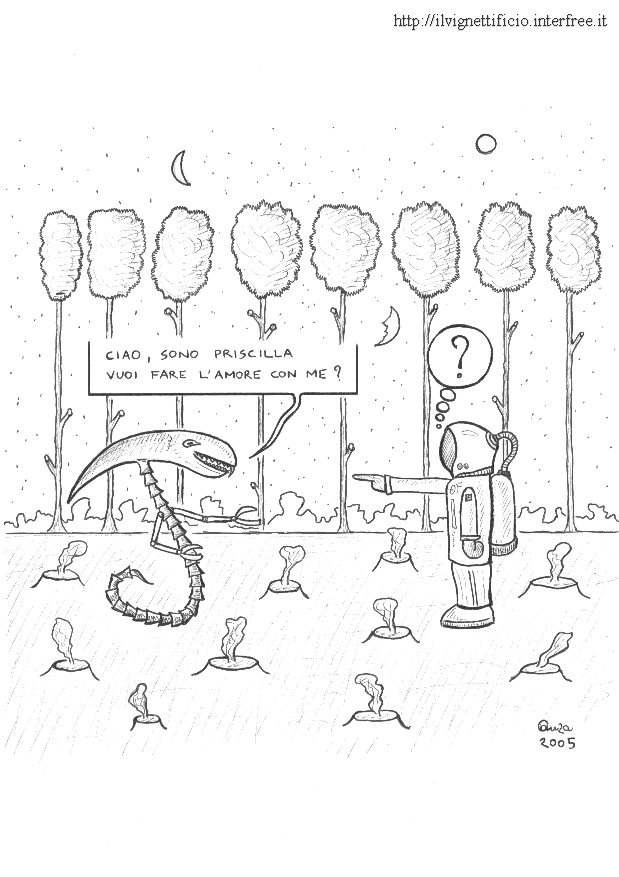 vignetta